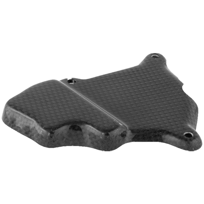 Poklopac za utovar od karbona LighTech BMW S1000RR K46 (09-16) CARB1018 