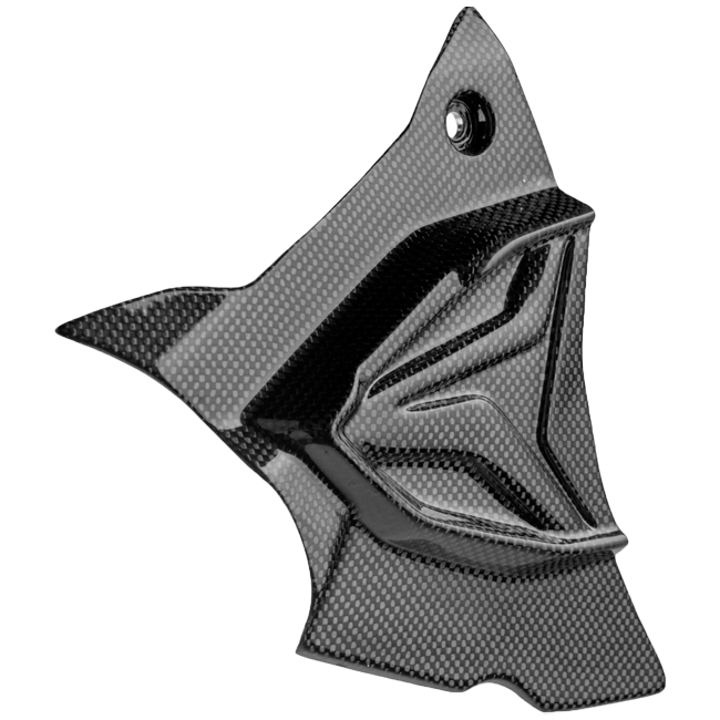 Karbon poklopac zupčanika LighTech BMW S1000RR K67 (19-26) CARB1945 