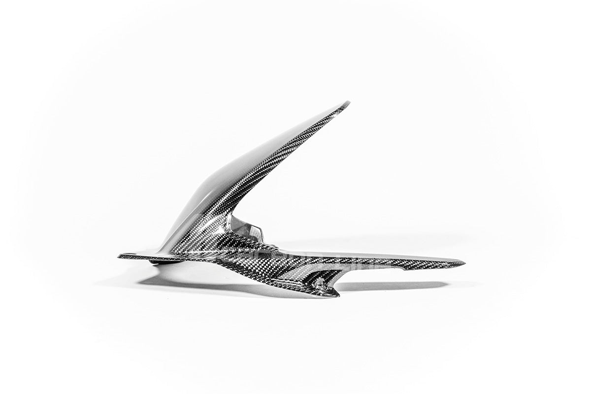 Stražnji blatobran 200g AP Carbon Line Ducati Panigale V4/S/R (25-26) 