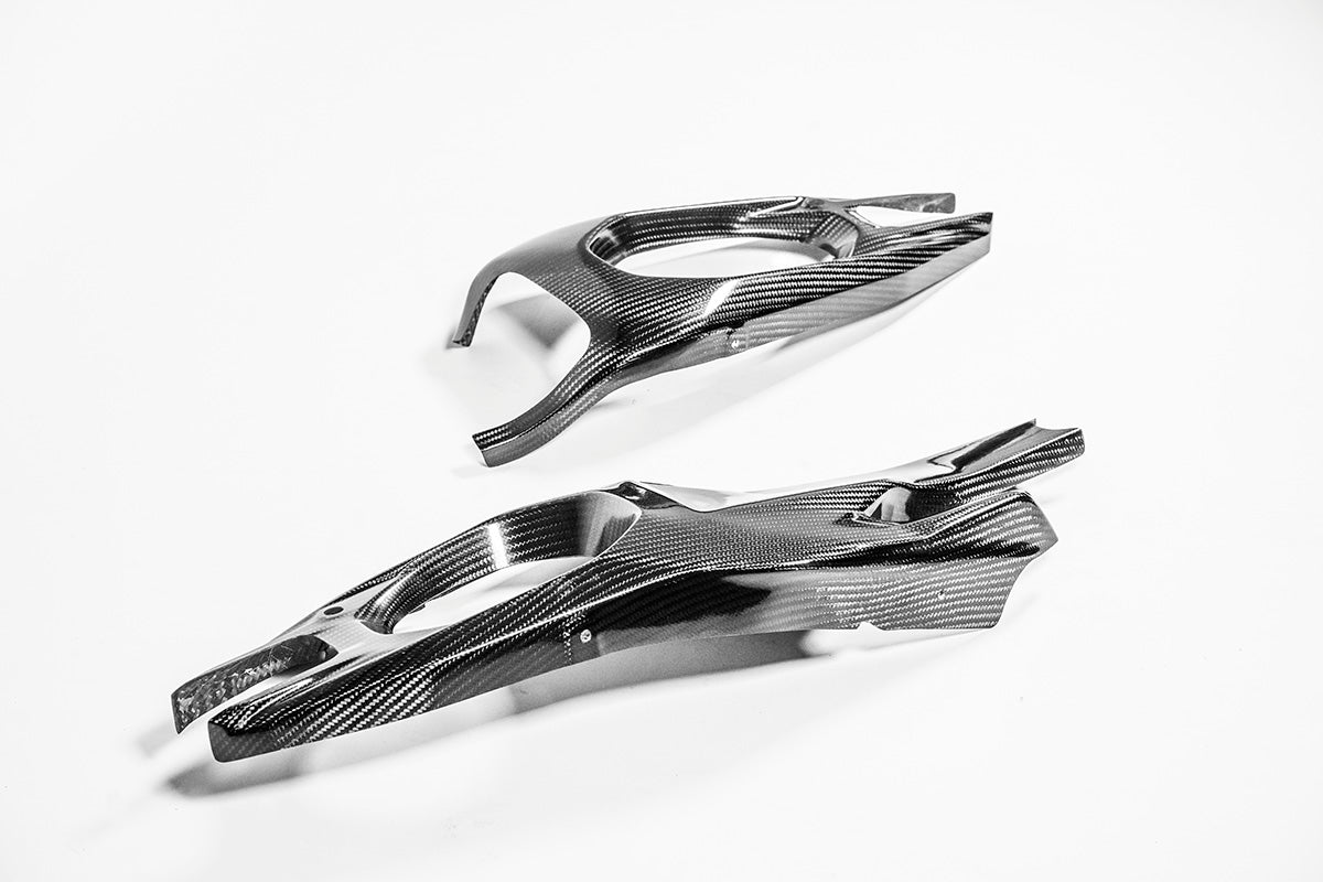 Pokrovi vilica 200g AP Carbon Line Ducati Panigale V4/S/R (25-26) 