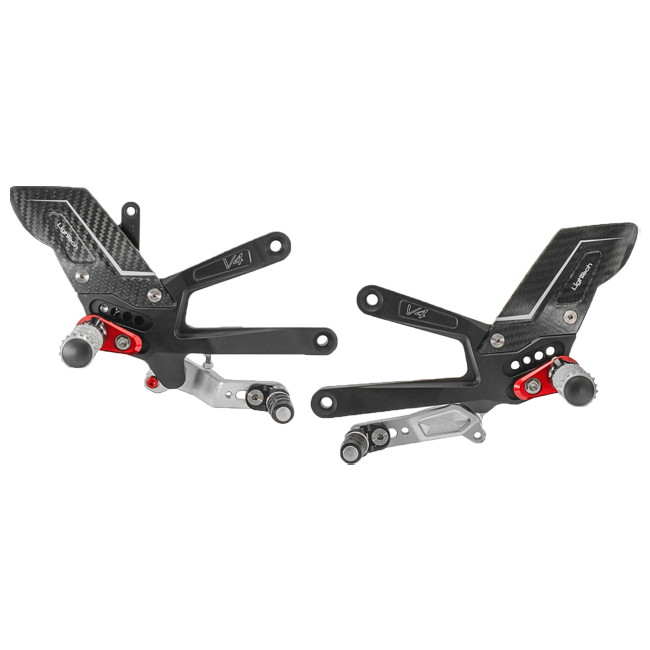 Sustav stražnjih kočnica R LighTech Ducati Panigale V4/S/R (25-26) FTRDU017R 