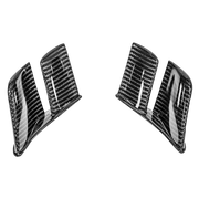 Heck MotoGP Winglets 200g AP Carbon Line Ducati Panigale V4/S/R (18-24) 