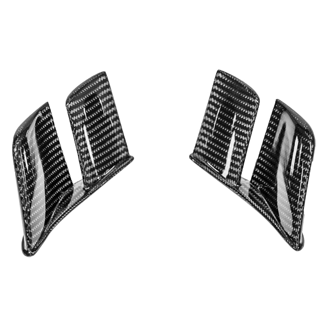 Heck MotoGP Winglets 200g AP Carbon Line Ducati Panigale V4/S/R (18-24) 