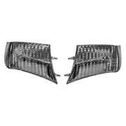 Wingleti 400g AP Carbon Line Ducati Panigale V4/S/R (22-24) 