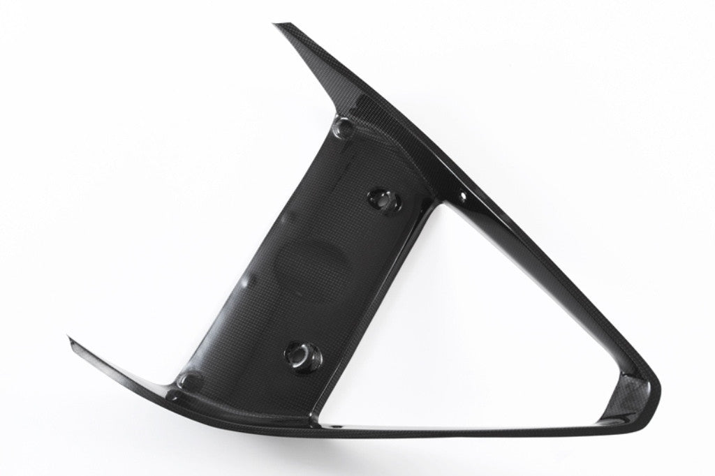 Karbon kapica hladnjaka Fullsix Ducati Panigale 1199/R/S (12-17) 