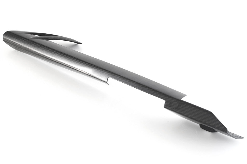 Zaštita lanca "Short" Carbon Fullsix BMW S1000RR K46 (09-18) 