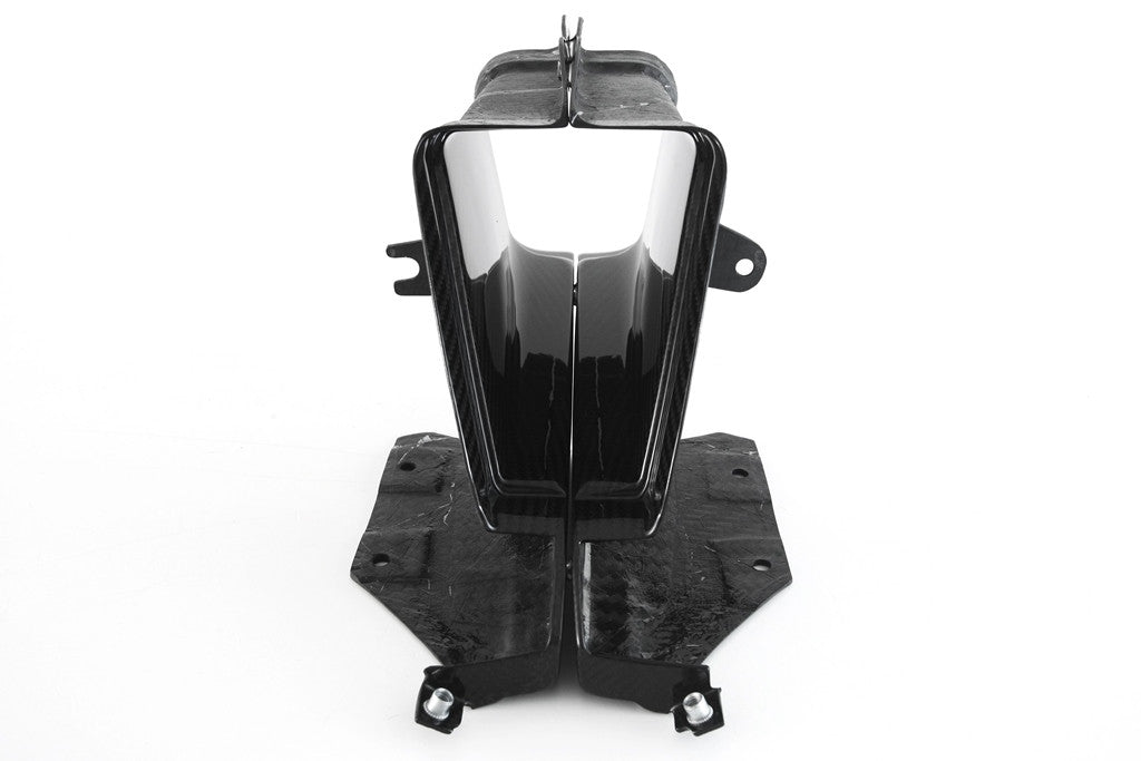 Usisni otvor Carbon Fullsix BMW S1000RR K67 (19-24) 